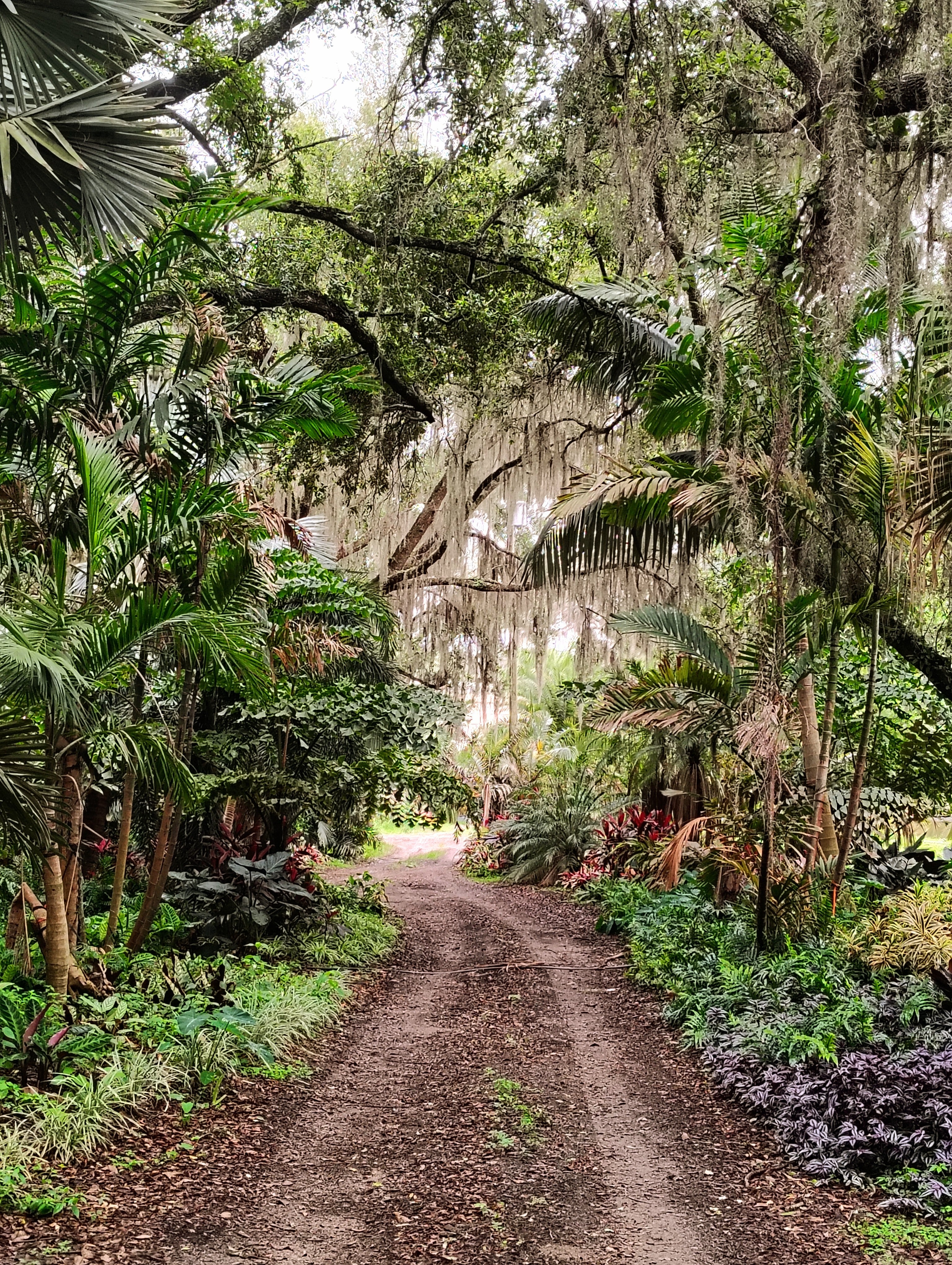 Botanical Garden Tour