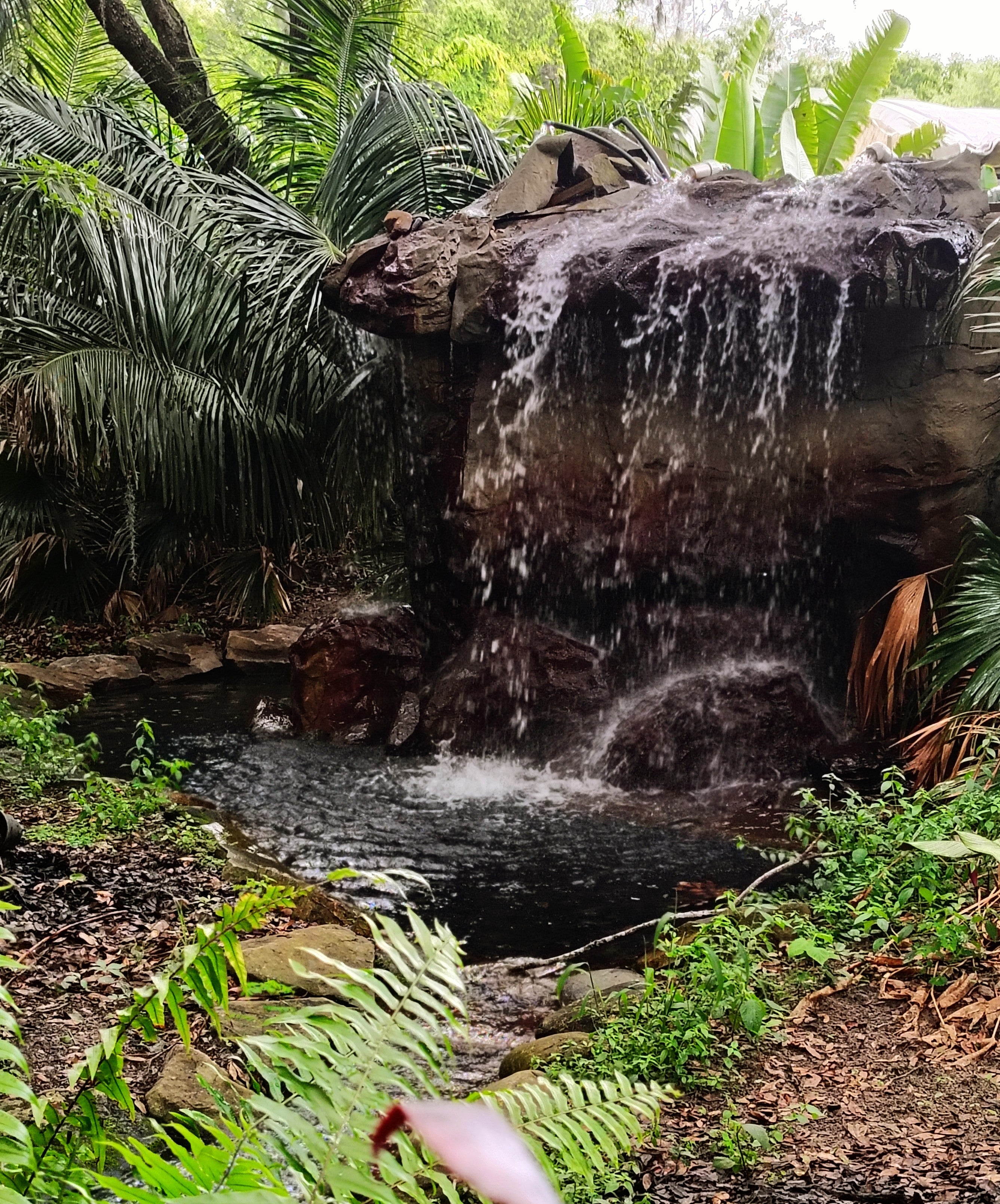 Garden and Fishing Experience- coming soon