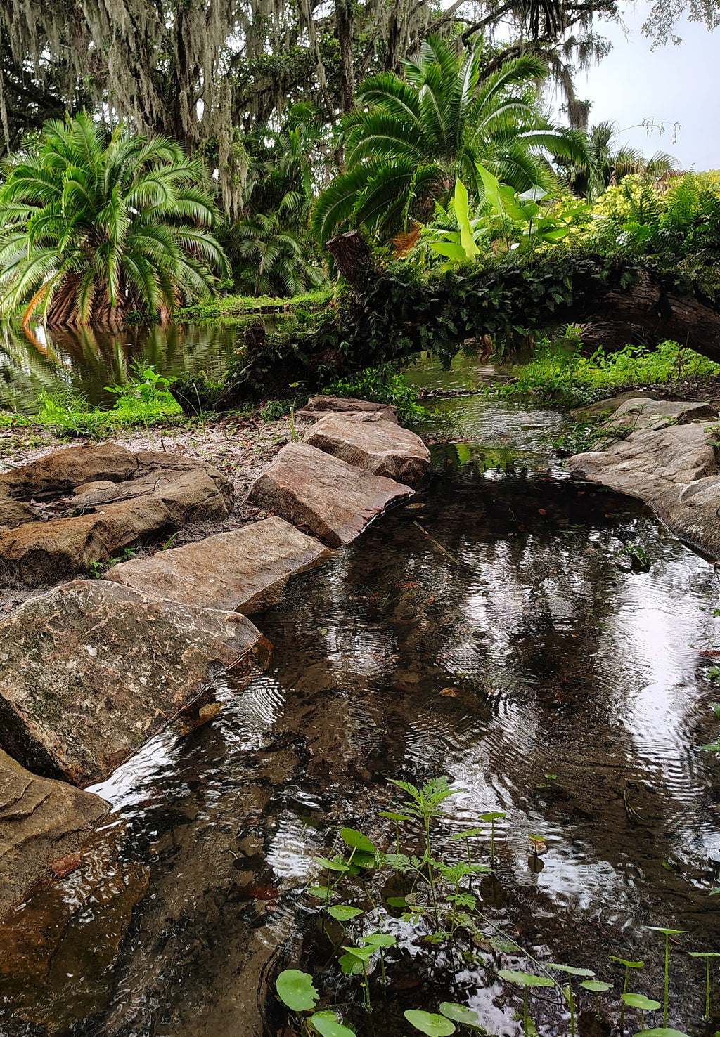 Garden and Fishing Experience- coming soon