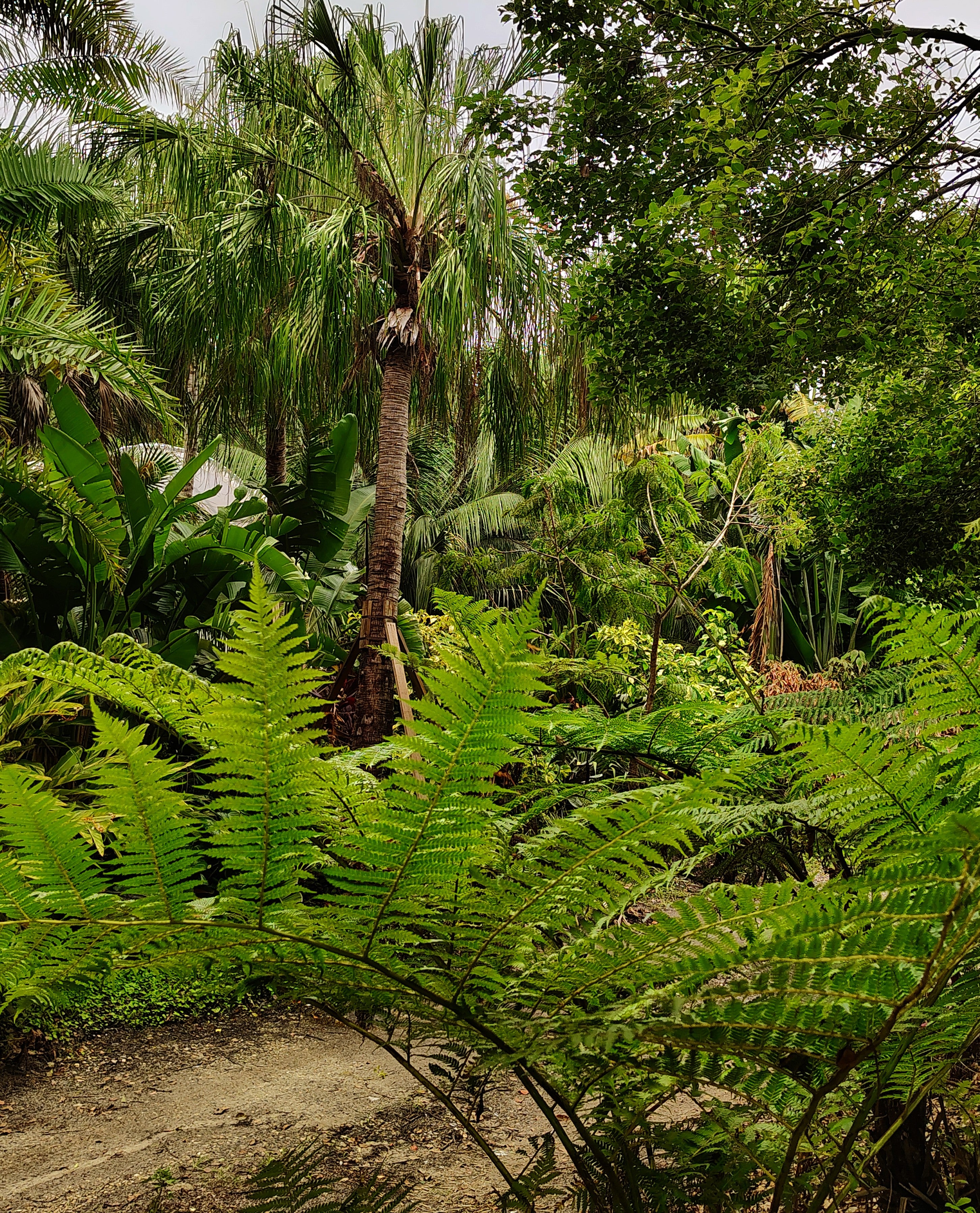 Garden Tour and Reptile Encounter- Opens November 16, 2025