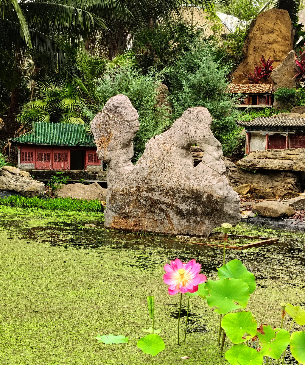 Garden Tour and Capybara Encounter- New in 2026