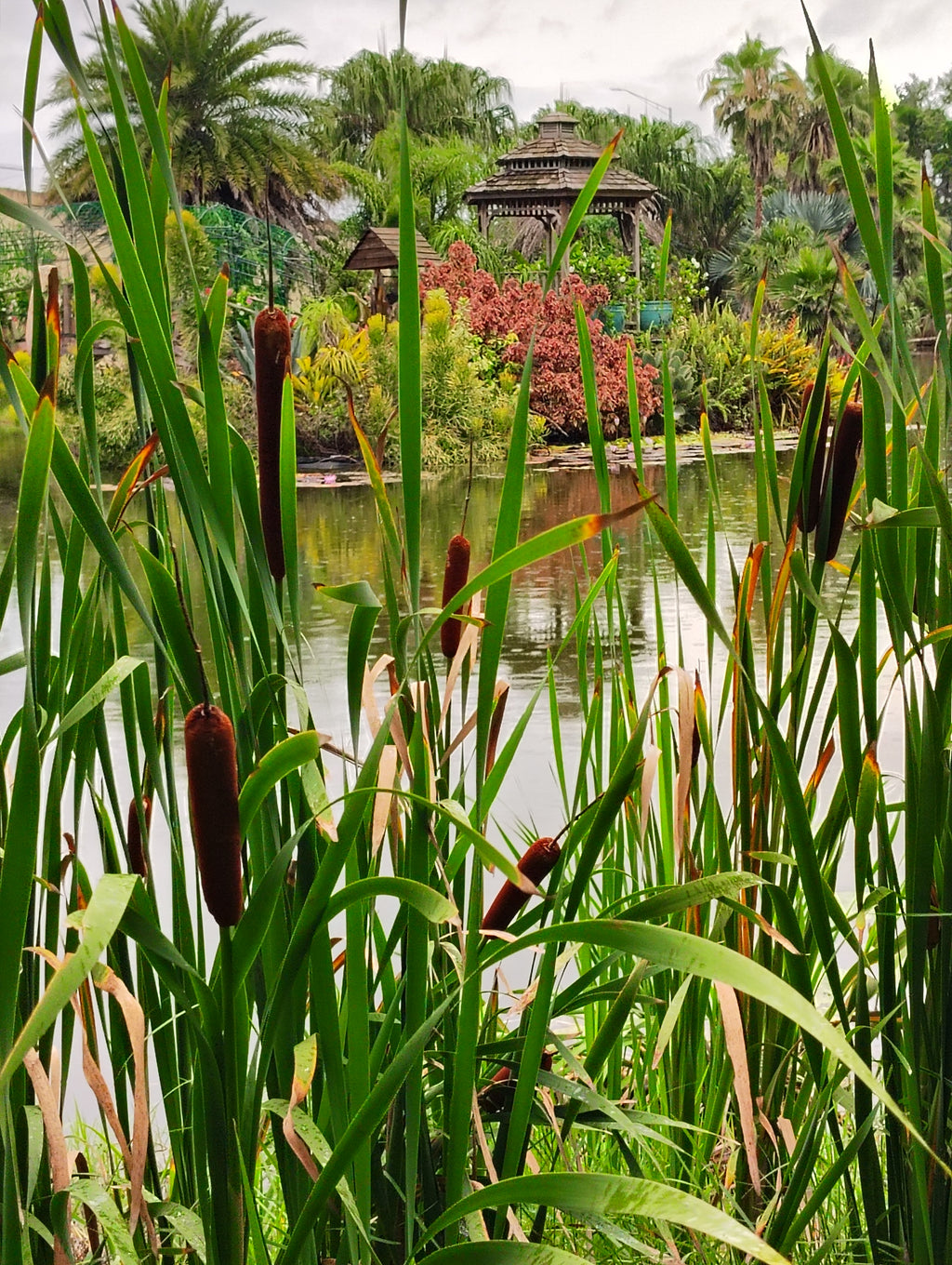 Garden Tour and Crocodile Presentation- coming soon