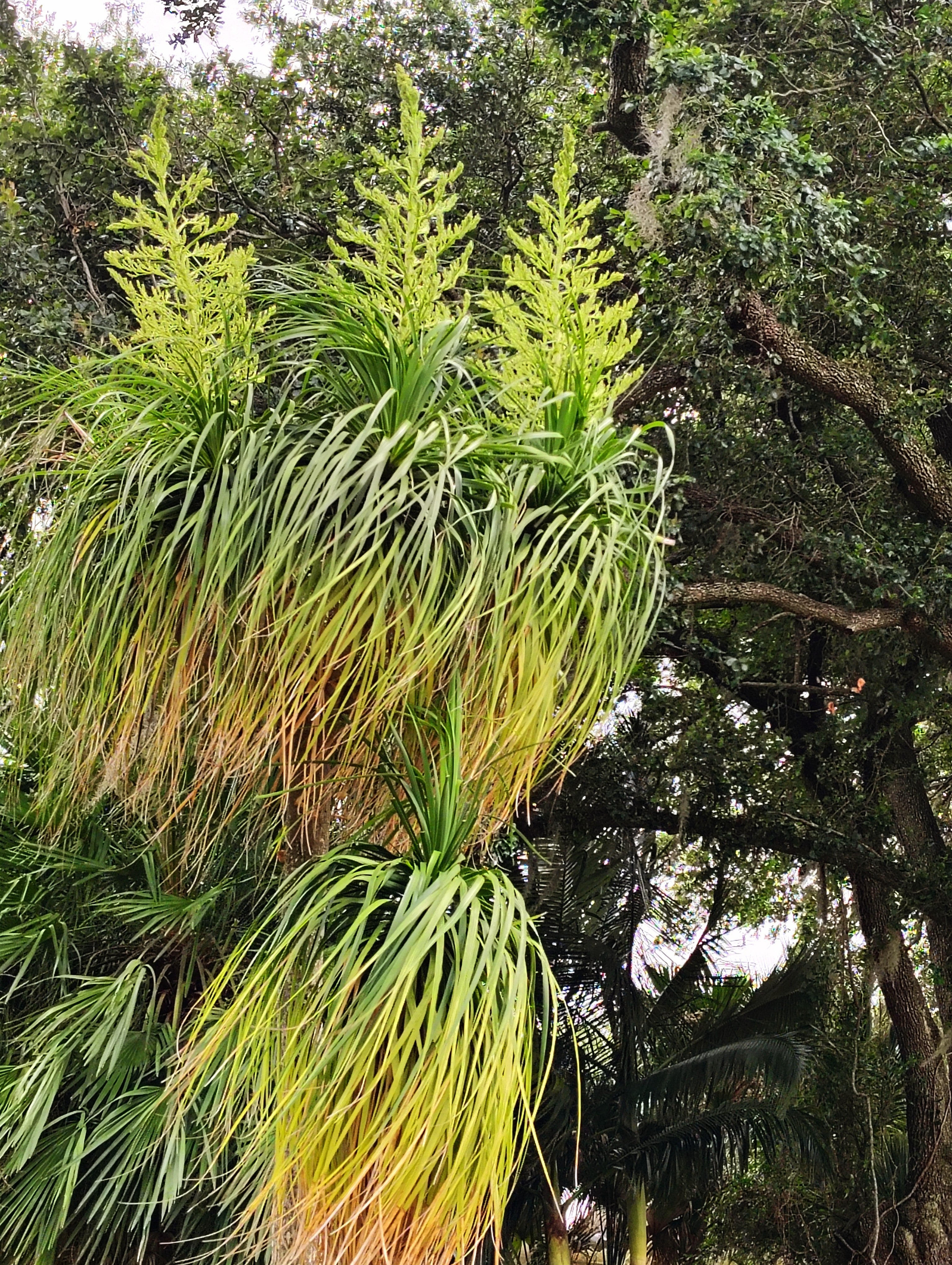 Botanical Garden Tour