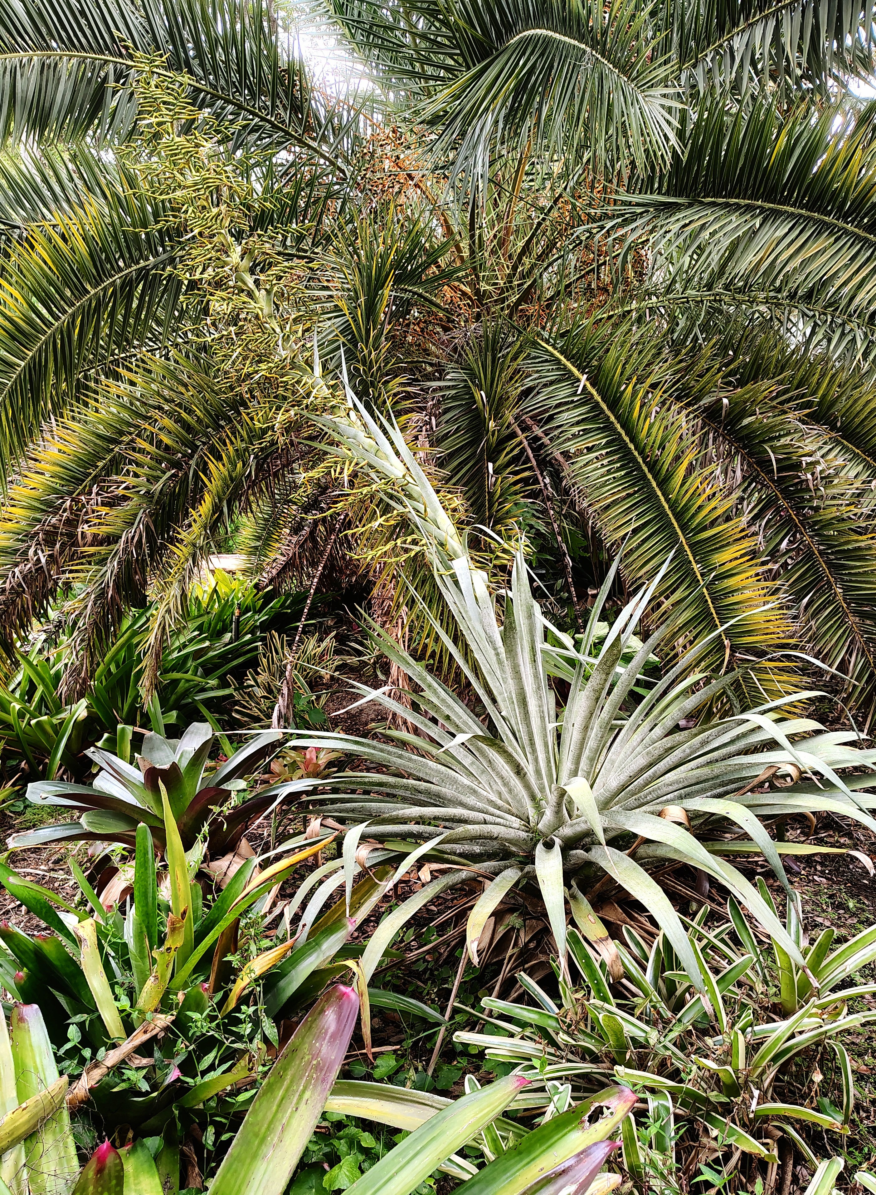 Botanical Garden Tour
