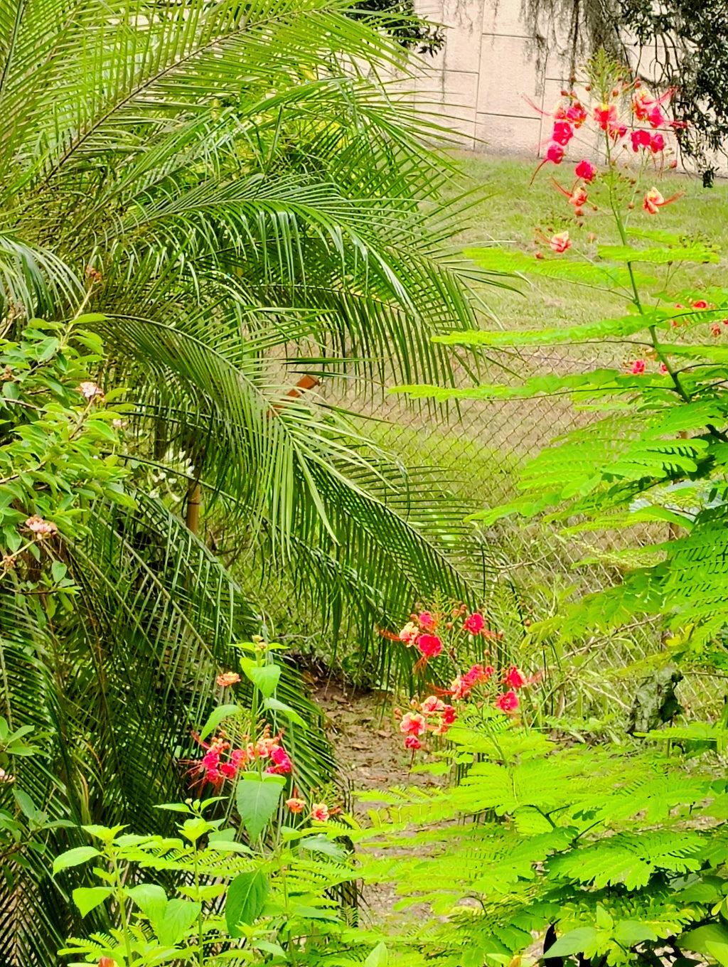 Botanical Garden Tour